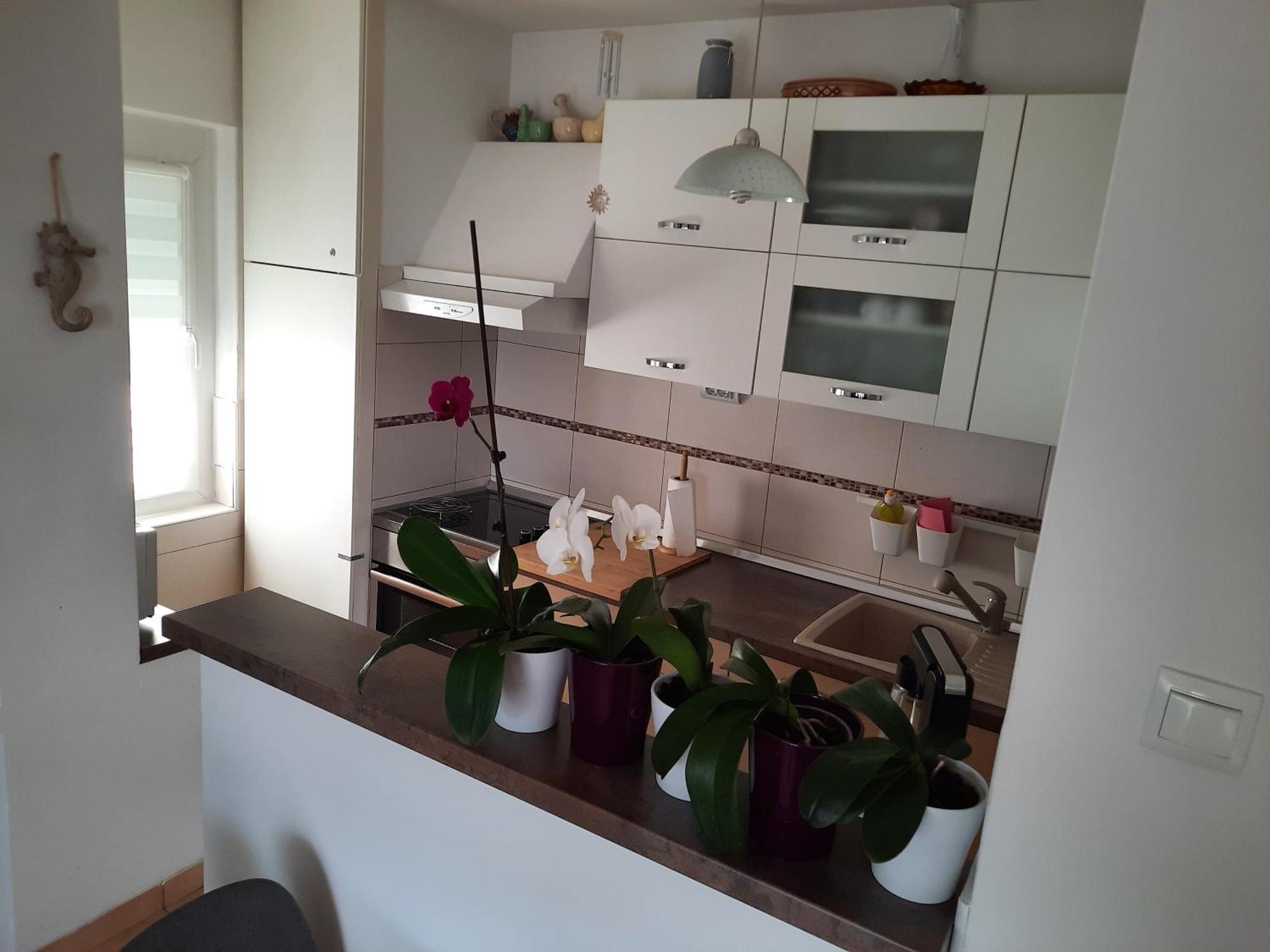 Apartments Anita Crikvenica Rom bilde